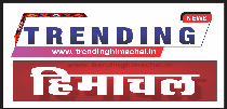Trending Himachal
